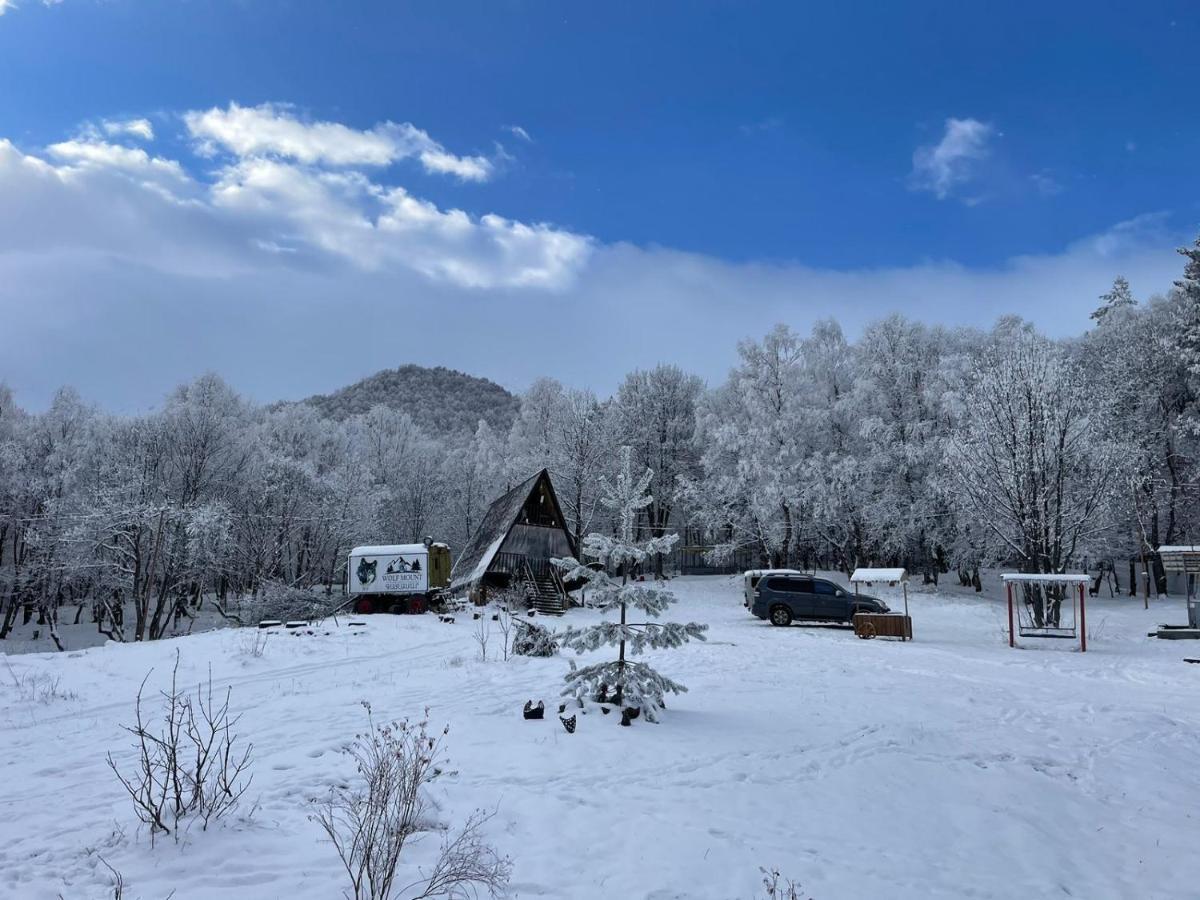 Glamping Wolf Mount Villa Margahovit Exterior photo